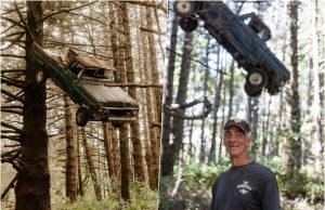 Самый прикольный указатель дороги — пикап на дереве