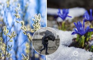 В Украине будет сильный ветер, снег и холод: где ухудшится погода