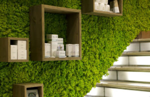 Стена из мха: безопасно и красиво