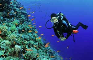 Подводное плаванье и дайвинг: что для этого нужно?