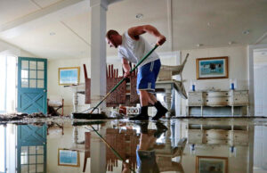 Услуги уборки после потопа от компании Чистый Лис