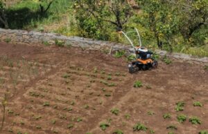 Особенности и преимущества культиваторов Stihl