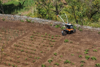 Особенности и преимущества культиваторов Stihl