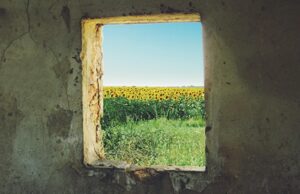 Путь в никуда: на Украине провели опрос о будущем страны