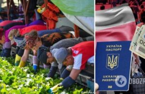 »Зарплаты в тысячи долларов – это не о Польше», – эксперты объяснили, почему заработки за рубежом теряют смысл