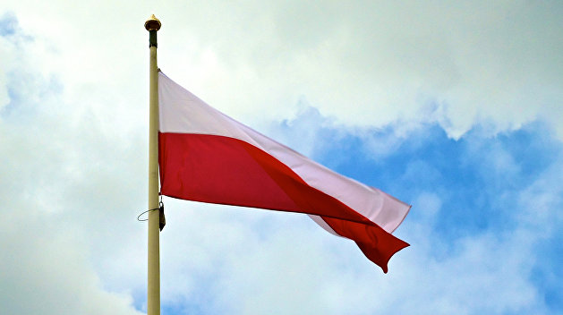 Разносчик русофобии: Гаспарян дал совет по общению с поляками