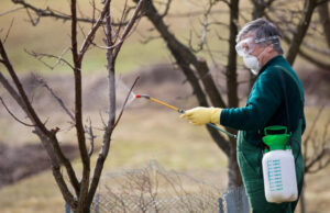 Опрыскиватели-распылители