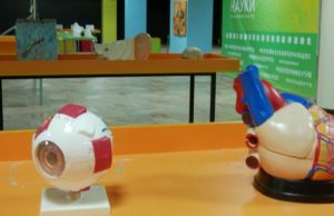 В Черновцах откроют уникальный Музей науки для детей: в чем его особенность