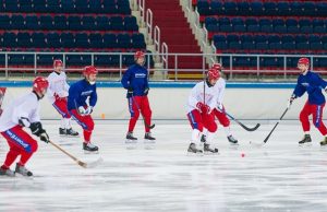 Россию отстранили от чемпионата мира по еще одному виду спорта