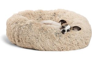 Дизайн и функциональность лежанок: как сделать комфортное место отдыха для собаки