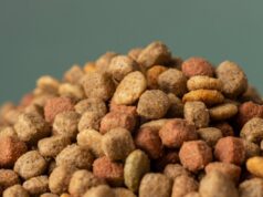 Как выбрать сбалансированный сухой корм для кошек