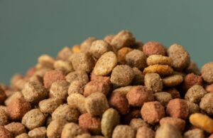 Как выбрать сбалансированный сухой корм для кошек